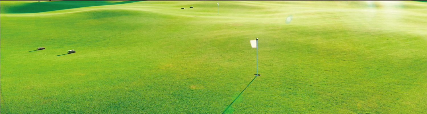 COMPANY PROFILE | ゴルフ練習場の設計、施工、リニューアル計画までをトータルにサポート。